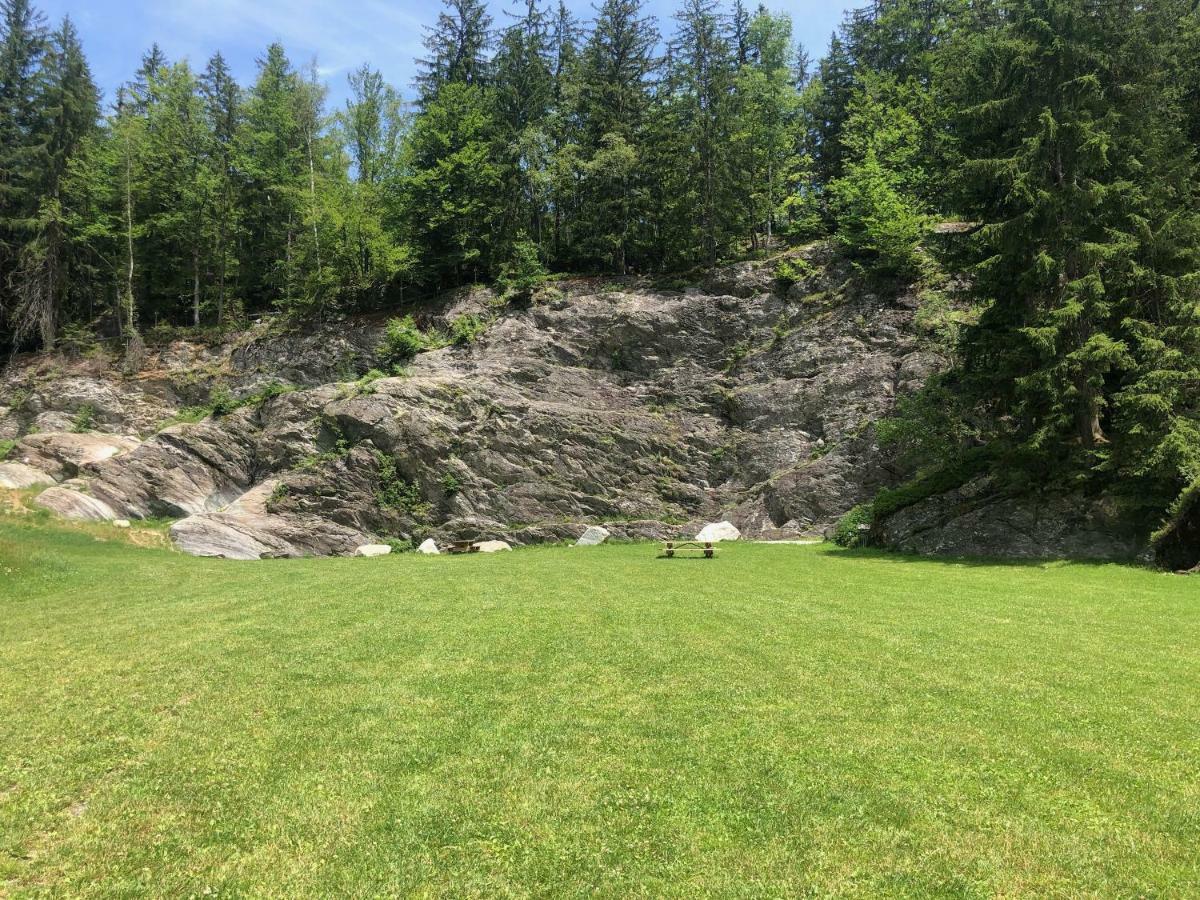 Le Nid D'Aigle Apartment Les Houches Bagian luar foto